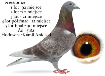 30 m./ FINAŁ KAMIL ANIELSKI PL-0447-25-624