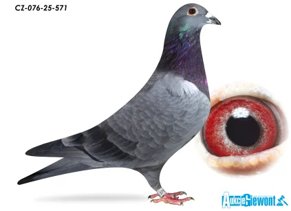 ACADEMY LOFT CZ-25-076-571