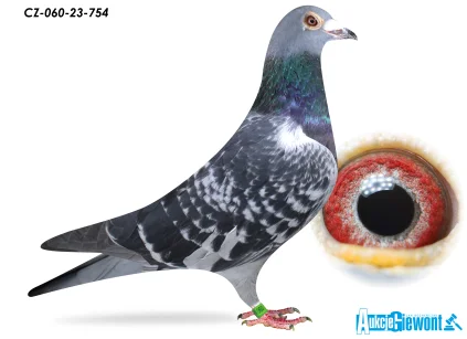 ACADEMY LOFT CZ-23-060-754