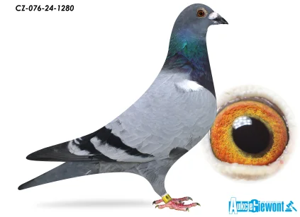 ACADEMY LOFT CZ-24-076-1280