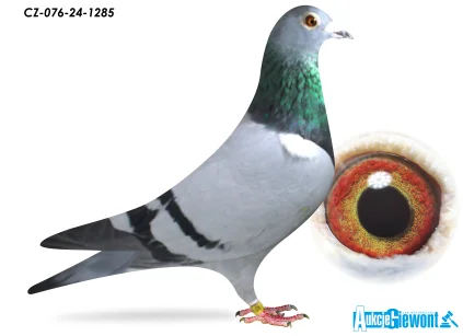 ACADEMY LOFT CZ-24-076-1285