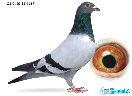 ACADEMY LOFT CZ-25-0400-1397