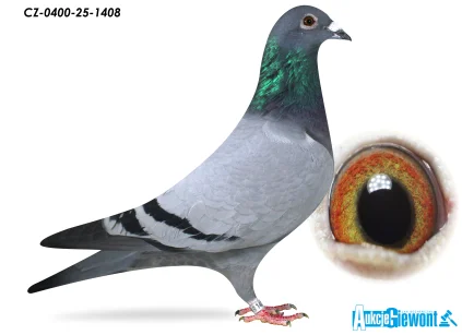 ACADEMY LOFT CZ-25-0400-1408