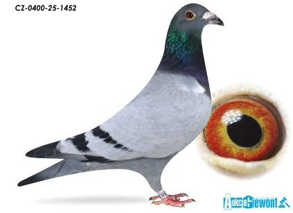 ACADEMY LOFT CZ-25-0400-1452