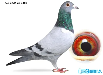 ACADEMY LOFT CZ-25-0400-1480