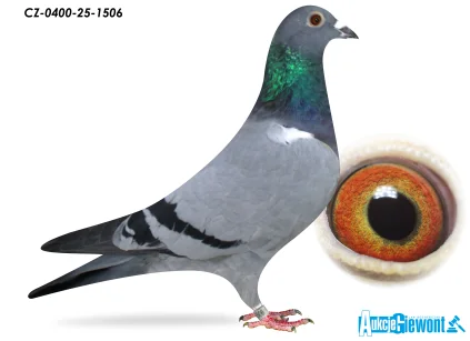 ACADEMY LOFT CZ-25-0400-1506