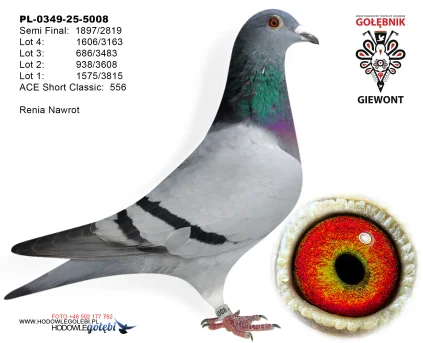 Renia Nawrot PL-0349-25-5008