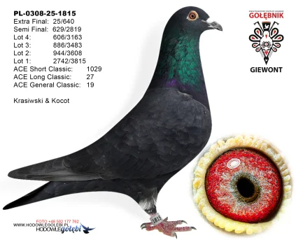  25m/extra finał Krasiwski & Kocot PL-0308-25-1815