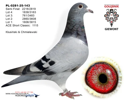Kłusiński & Chmielewski PL-0281-25-143