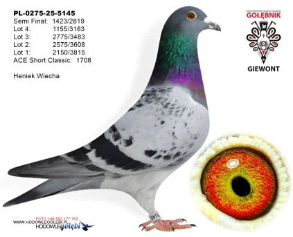 Heniek Wiecha PL-0275-25-5145