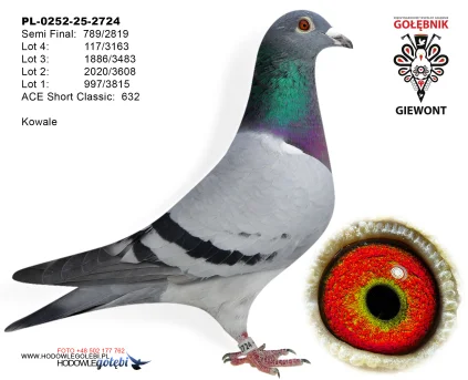 Kowale PL-0252-25-2724