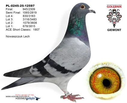 Nowaszczuk Lech PL-0245-25-12597