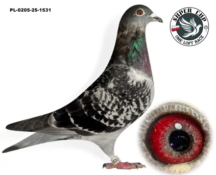 dolot - PL-0205-25-1531 Srebnicki Stanisław  PL-0205-25-1531