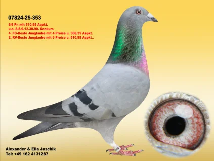 SG Jaschik DV-07824-25-353