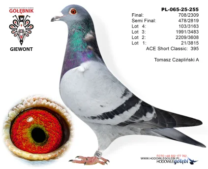 Tomasz Czapliński A PL-065-25-255