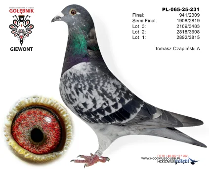 Tomasz Czapliński A PL-065-25-231