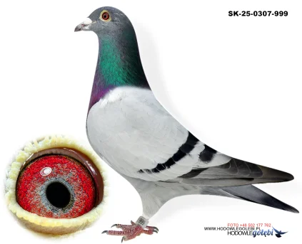 Roman Pustaj  SK-0307-25-999