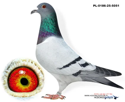 Janusz Glanc PL-0186-25-5051