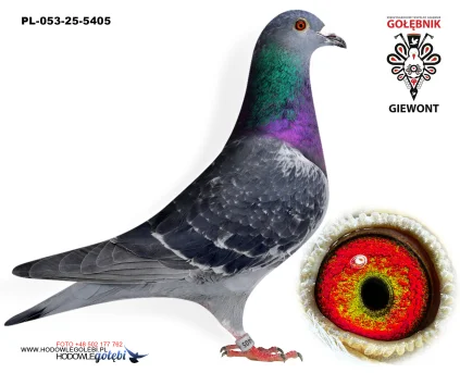 Nowak Krystian PL-053-25-5405