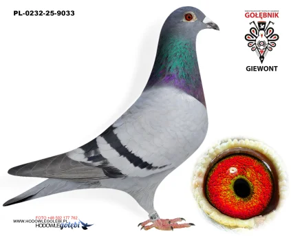 Piotr Ciągło PL-0232-25-9033