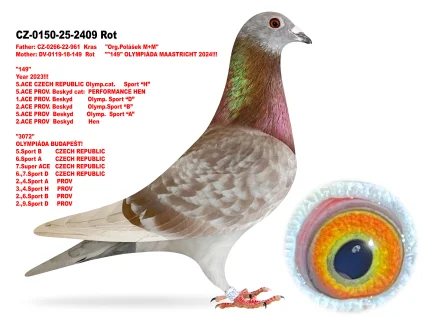 JIRI DVORAK CZ-0150-25-2409