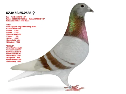 JIRI DVORAK CZ-0150-25-2588