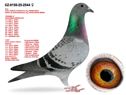 JIRI DVORAK CZ-0150-25-2544