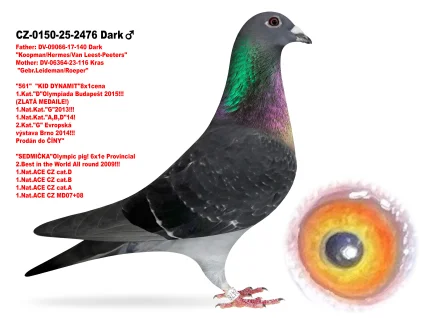 JIRI DVORAK CZ-0150-25-2476