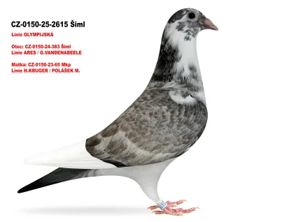 JIRI DVORAK CZ-0150-25-2615