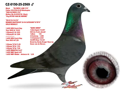 JIRI DVORAK CZ-0150-25-2569