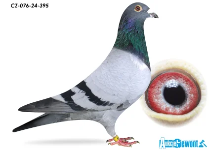 ACADEMY LOFT CZ-076-24-395