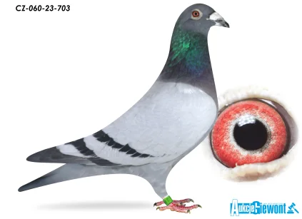 ACADEMY LOFT CZ-060-23-703