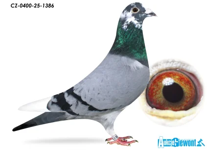 ACADEMY LOFT CZ-0400-25-1386