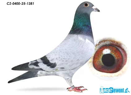 ACADEMY LOFT CZ-0400-25-1381