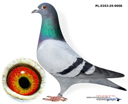 Bieniek Family Loft PL-0353-25-9006