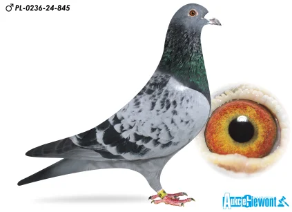 Łukasz Zagata PL-0236-24-845