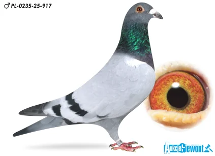 Łukasz Zagata PL-0235-25-917