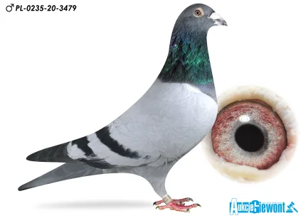 Łukasz Zagata PL-0235-20-3479