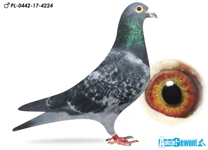 Łukasz Zagata PL-0442-17-4224