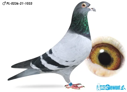 Łukasz Zagata PL-0236-21-1033