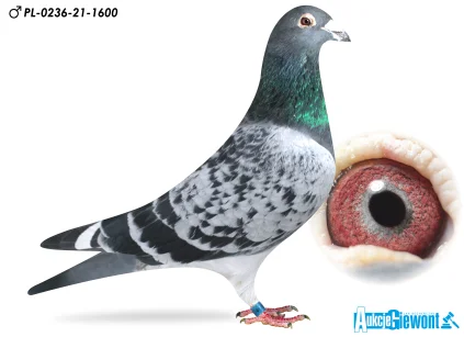 Łukasz Zagata PL-0236-21-1600