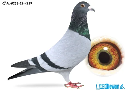 Łukasz Zagata PL-0236-22-4239