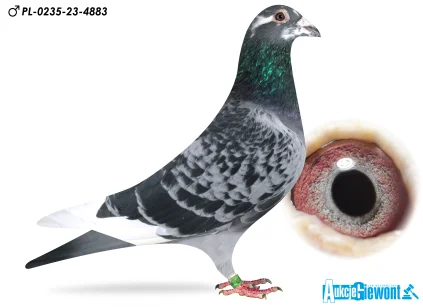 Łukasz Zagata PL-0235-23-4883