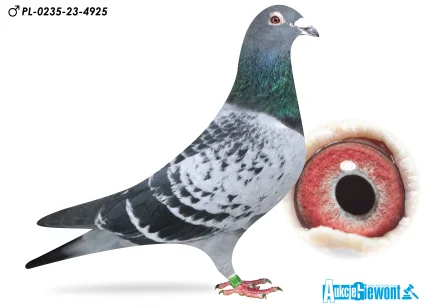 Łukasz Zagata PL-0235-23-4925