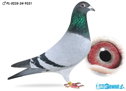 Łukasz Zagata PL-0235-24-9331