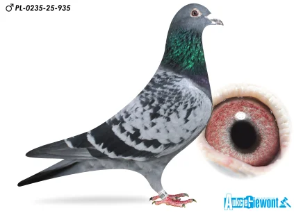 Łukasz Zagata PL-0235-25-935