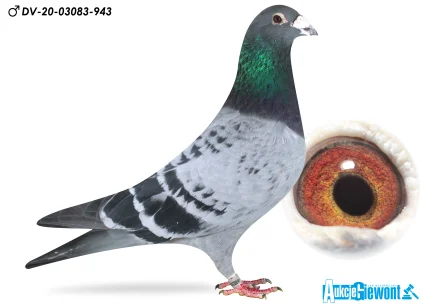 Yevheniy Gudz DV-03083-20-943