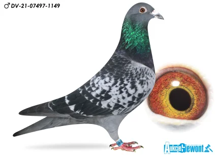 Paul-Heinz Wesjohann DV-07497-21-1149