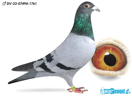 Paul-Heinz Wesjohann DV-07497-23-1761