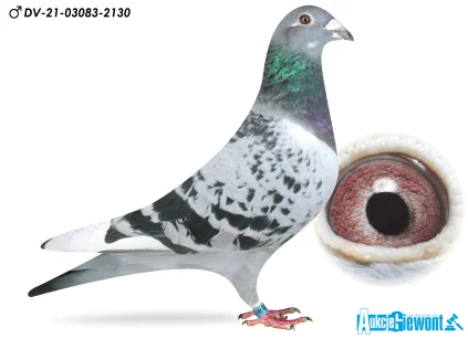 Yevheniy Gudz DV-03083-21-2130